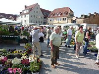 Planzenmarkt in Sondershausen Bild: Planzenmarkt in Sondershausen