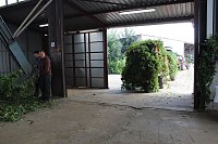 Bild: Start der Hopfenernte in Gro&szlig;enehrich