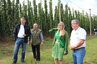 Bild: Start der Hopfenernte in Gro&szlig;enehrich