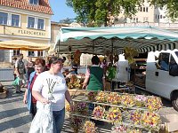 Planzenmarkt in Sondershausen Bild: Planzenmarkt in Sondershausen