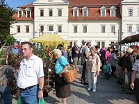 Planzenmarkt in Sondershausen Bild: Planzenmarkt in Sondershausen