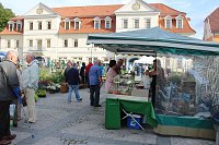 Pflanzenmarkt in Sondershausen Bild: Pflanzenmarkt in Sondershausen