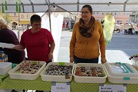 Bild: 20. Kinder- und Familienfest in Sondershausen