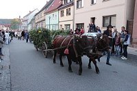 Bild: Das komplette Bauernheer