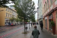 Bild: 13. Nordh&auml;user Citylauf