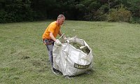 Bild: F&uuml;r Bienen-Ragwurz und Spargelerbse