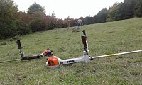 Bild: F&uuml;r Bienen-Ragwurz und Spargelerbse