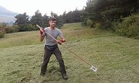 Bild: F&uuml;r Bienen-Ragwurz und Spargelerbse