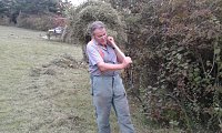 Bild: F&uuml;r Bienen-Ragwurz und Spargelerbse