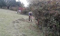 Bild: F&uuml;r Bienen-Ragwurz und Spargelerbse