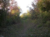 Beschädigungen an Wanderwegen Bild: Beschädigungen an Wanderwegen