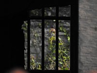 Bild: Der alte Knast in der Nachbarstadt