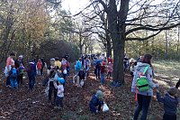 Die Kindervilla wandert im goldenen Oktober Bild: Die Kindervilla wandert im goldenen Oktober