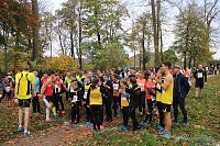 24. Stadtparklauf in Sondershausen (1) Bild: 24. Stadtparklauf in Sondershausen (1)