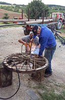 Neue Storchennester in Seehausen Bild: Neue Storchennester in Seehausen
