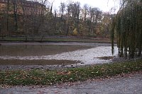 Was ist mit dem Teich passiert? Bild: Was ist mit dem Teich passiert?