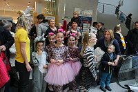Galerie geentert Bild: Galerie geentert