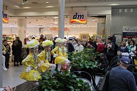 Galerie geentert Bild: Galerie geentert