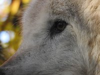 Bild: Peter Blei im B&auml;renpark Worbis
