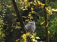 Bild: Peter Blei im B&auml;renpark Worbis