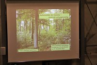 Es gibt bei uns keinen Urwald mehr! Bild: Es gibt bei uns keinen Urwald mehr!