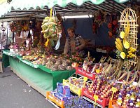 37. Zwiebelmarkt Artern Bild: 37. Zwiebelmarkt Artern