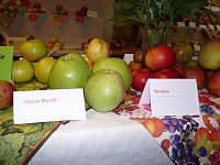 Kernobstschau in Sondershausen Bild: Kernobstschau in Sondershausen