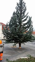 Bild: Weihnachtsdekoration beginnt