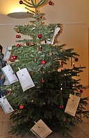 Aktion Weihnachtswunschbaum läuft Bild: Aktion Weihnachtswunschbaum läuft