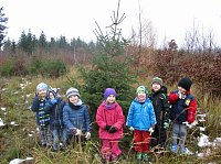 Bild: Ein Tannenbaum f&uuml;r unsere Kindervilla