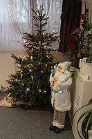 Bild: Gem&uuml;tliche Weihnachtsfeier im Verband