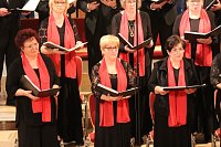 Weihnachtswunsch: Friede und Menschlichkeit Bild: Weihnachtswunsch: Friede und Menschlichkeit