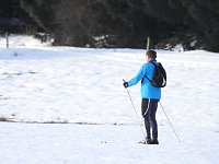 Bild: Der Harz taut...