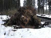 Bild: Der Harz taut...