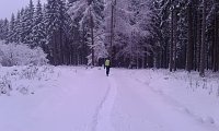 Bild: 100 Kilometer durch das Vogtland