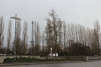 Grüne Woche Bild: Grüne Woche