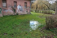 Bild: Kleiner Parksee im Schlosspark &uuml;bergelaufen