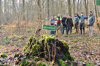 Touristisches Ausflugsziel: Mutterblutbuche Bild: Touristisches Ausflugsziel: Mutterblutbuche