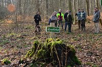 Touristisches Ausflugsziel: Mutterblutbuche Bild: Touristisches Ausflugsziel: Mutterblutbuche