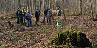 Touristisches Ausflugsziel: Mutterblutbuche Bild: Touristisches Ausflugsziel: Mutterblutbuche