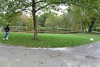 Bild: 16. Stadtparklauf