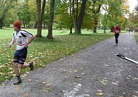 Bild: 16. Stadtparklauf