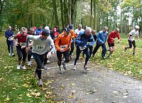 Bild: 16. Stadtparklauf