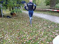 Bild: 16. Stadtparklauf