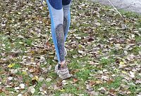 Bild: 16. Stadtparklauf
