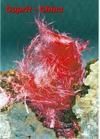 Bild: Welt der Mineralien