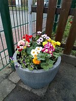 Farbige Kita Bild: Farbige Kita