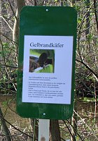Teichprojekt Bild: Teichprojekt