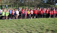 Tolles Kreisfinale beim Crosslauf Bild: Tolles Kreisfinale beim Crosslauf