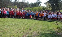 Tolles Kreisfinale beim Crosslauf Bild: Tolles Kreisfinale beim Crosslauf